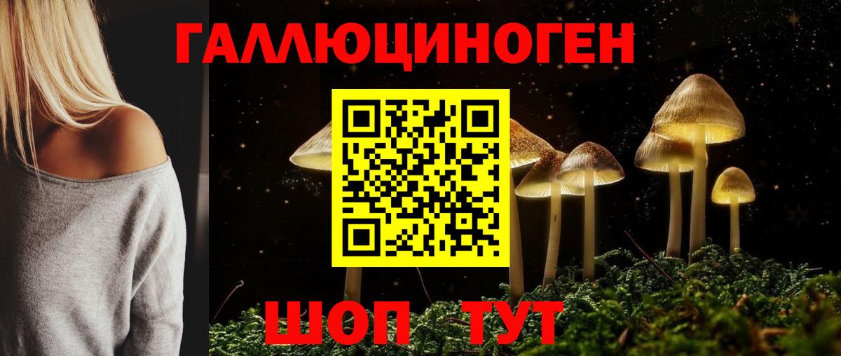 Галлюциногенные грибы GOLDEN TEACHER Чистополь