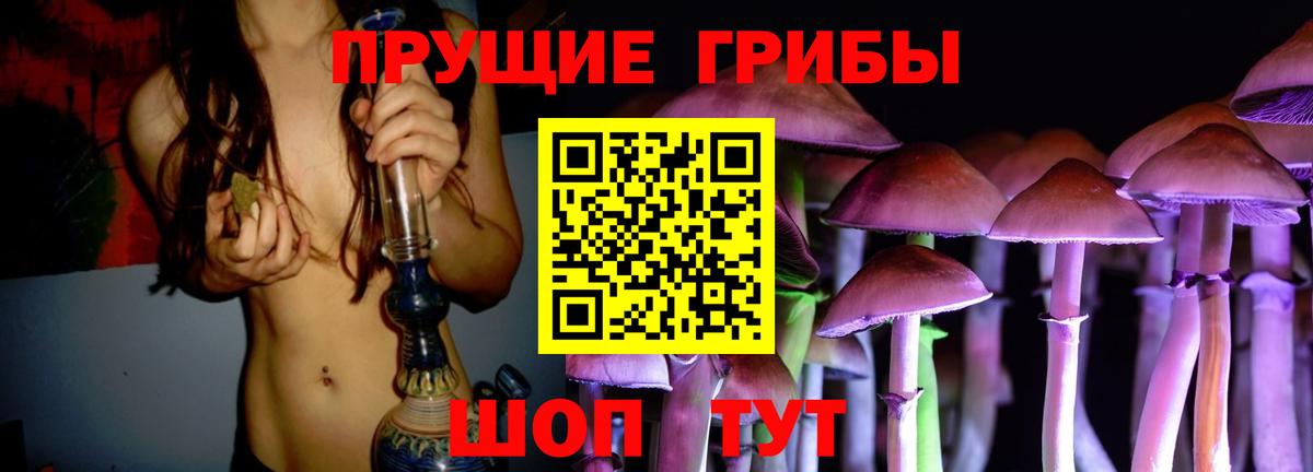 Псилоцибиновые грибы GOLDEN TEACHER  Псилоцибиновые грибы GOLDEN TEACHER  Чистополь  Вход с VPN 